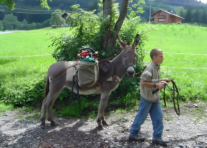 Vakantiehuis Chez Fanfoue *